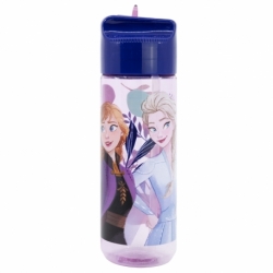 LARGE ECOZEN HYDRO BOTTLE 540 ML FROZEN TRUST THE JOURNEY