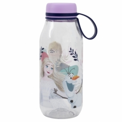SMALL ECOZEN ADVENTURE BOTTLE 460 ML FROZEN