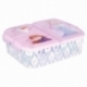 MULTI COMPARTMENT SANDWICH BOX FROZEN II ELEMENTS