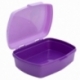 FUNNY SANDWICH BOX FROZEN AUTUM LEAVES