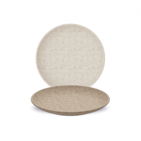 DINNER PLATE TERRA