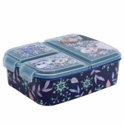 MULTI COMPARTMENT SANDWICH BOX FROZEN SNOWY TALE