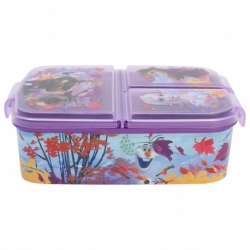 MULTI COMPARTMENT SANDWICH BOX FROZEN II