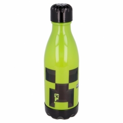DAILY PP BOTTLE 560 ML MINECRAFT