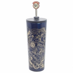 INSULATED SS STRAW TUMBLER WITH 3D COVER 770 ML HARRY POTTER MAGIC & MAYHEM