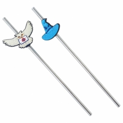 3D TWIN STAINLESS STEEL STRAW SET HARRY POTTER MAGIC & MAYHEM