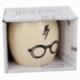TAZA CERAMICA GLOBE 380 ML EN CAJA REGALO HARRY POTTER