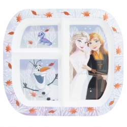 RECTANGULAR DIVIDED PLATE ST FROZEN AUTUM LEAVES