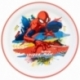 NON SLIP BICOLOR PREMIUM PLATE SPIDERMAN MOVING TARGET