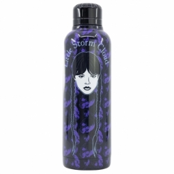 INSULATED STAINLESS STEEL BOTTLE 515 ML WEDNESDAY