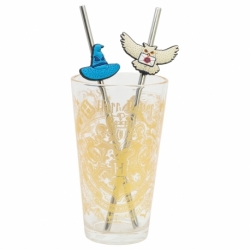 SET VASO CON DOS PAJITAS 480 ML HARRY POTTER MAGIC & MAYHEM